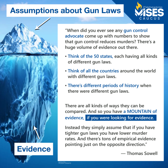 F1086: Thomas Sowell - Assumptions about Gun Laws