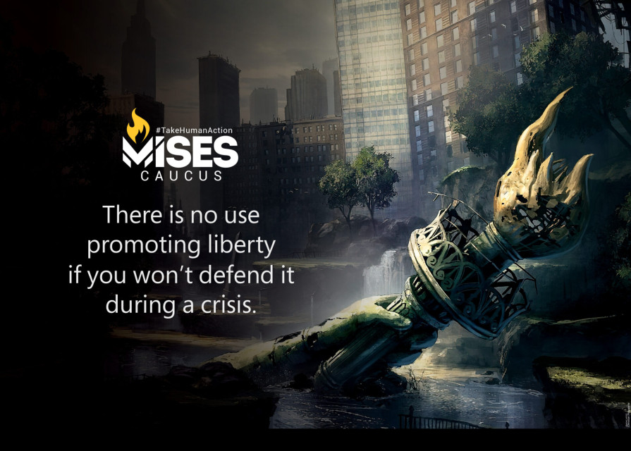 F1158: Defending Liberty During a Crisis