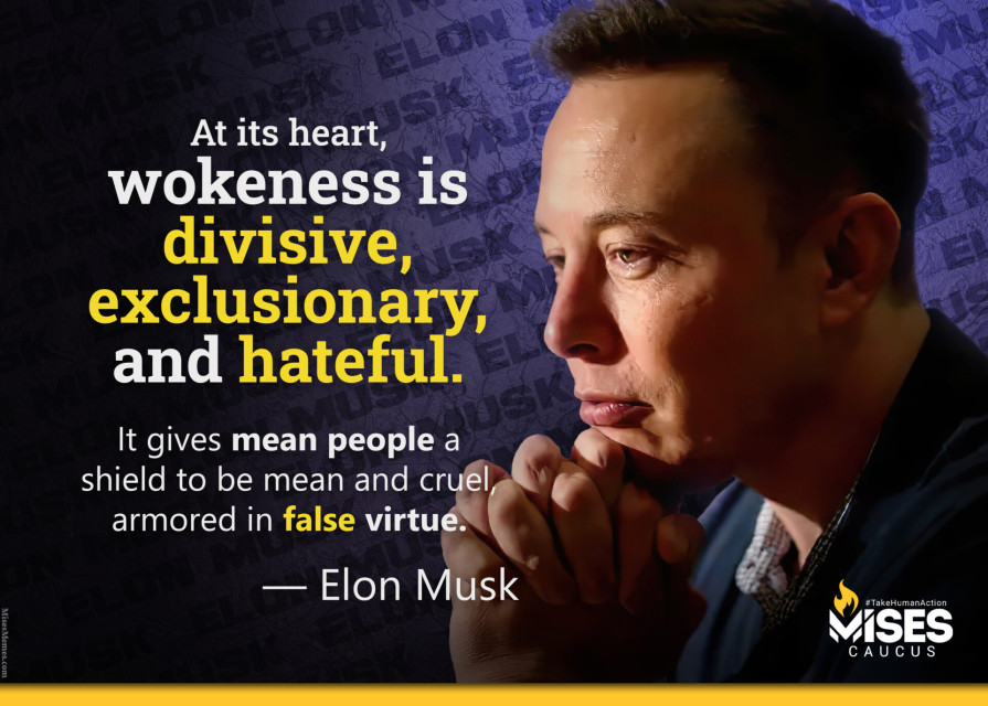 F1382: Elon Musk – Wokeness is Divisive