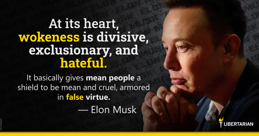LW1382: Elon Musk – Wokeness is Divisive